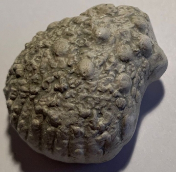 Keramik Muschel, grau